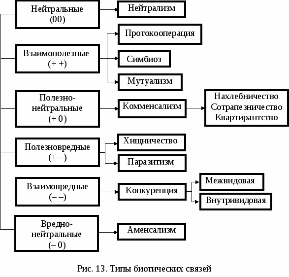 Возможные варианты межвидовых отношений схема