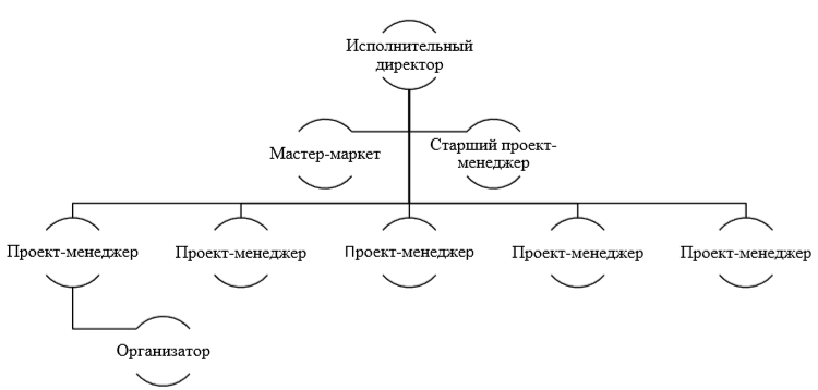 Организационные структуры управления проектами курсовая