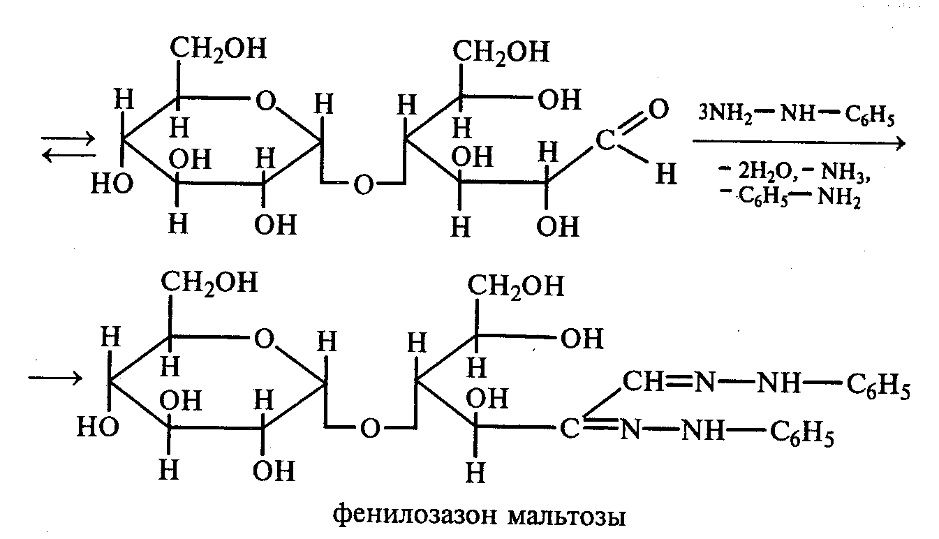 Гидролиз гидроксида меди 2. Озазон мальтозы. Лактоза и Фенилгидразин. Реакция Троммера с мальтозой. Гидролиз мальтозы формула.