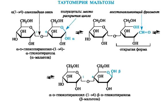 Схема таутомерных превращений