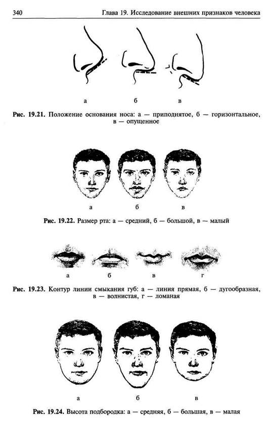 Описание человека по внешности по фотографии