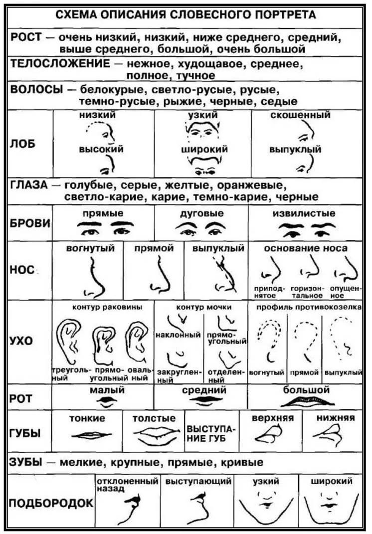 Криминалистический план это криминалистика