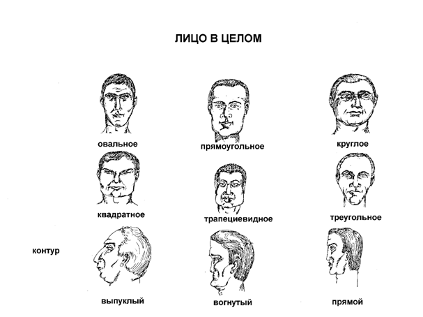 Описание по методу словесного портрета