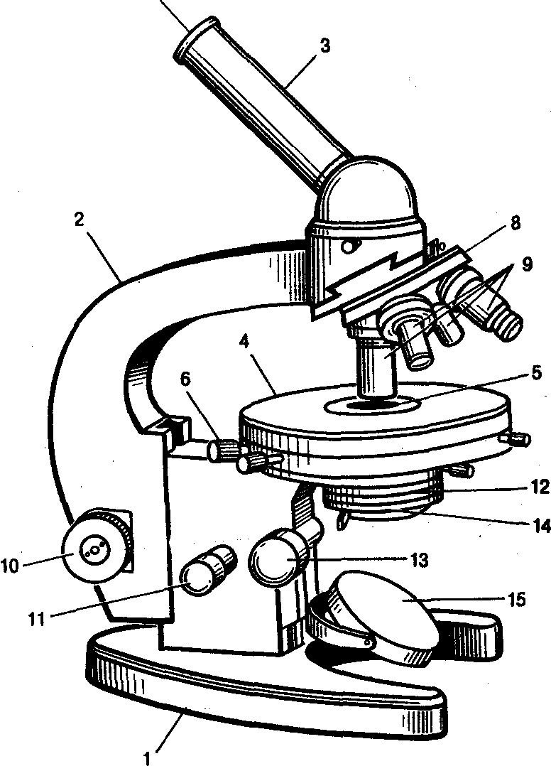 Каждая часть микроскопа. Схема светового микроскопа МБР-1. Световой микроскоп Биолам строение. Оптический микроскоп строение. Строение микроскопа Микмед 1.