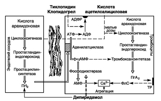 Схема агрегации тромбоцитов