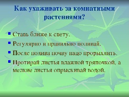 План ухода за комнатными растениями