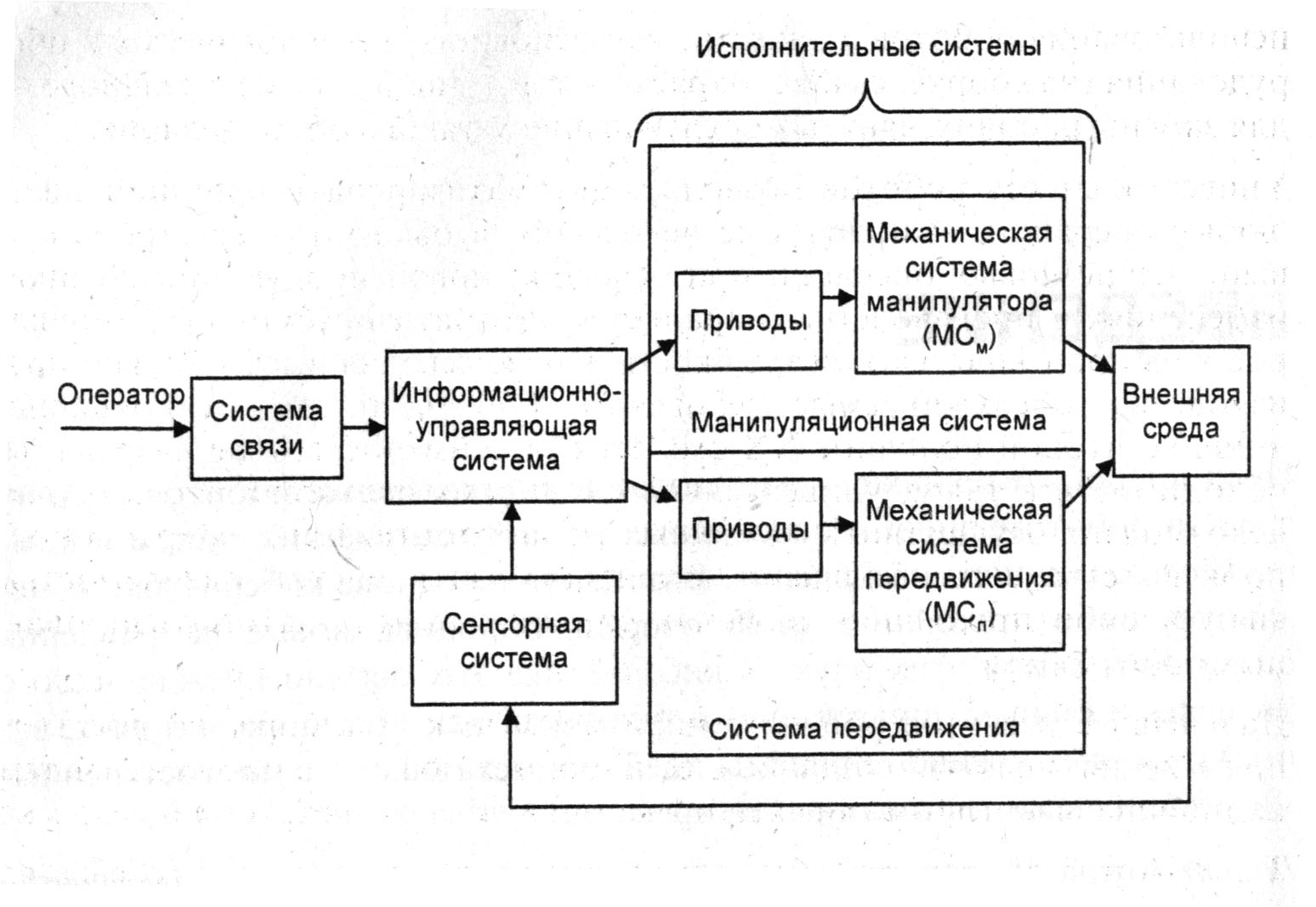 Состоит функционально