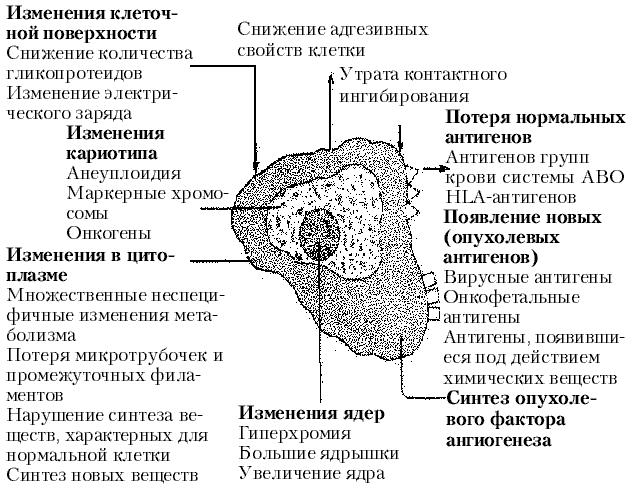 Злокачественные опухоли схема блок