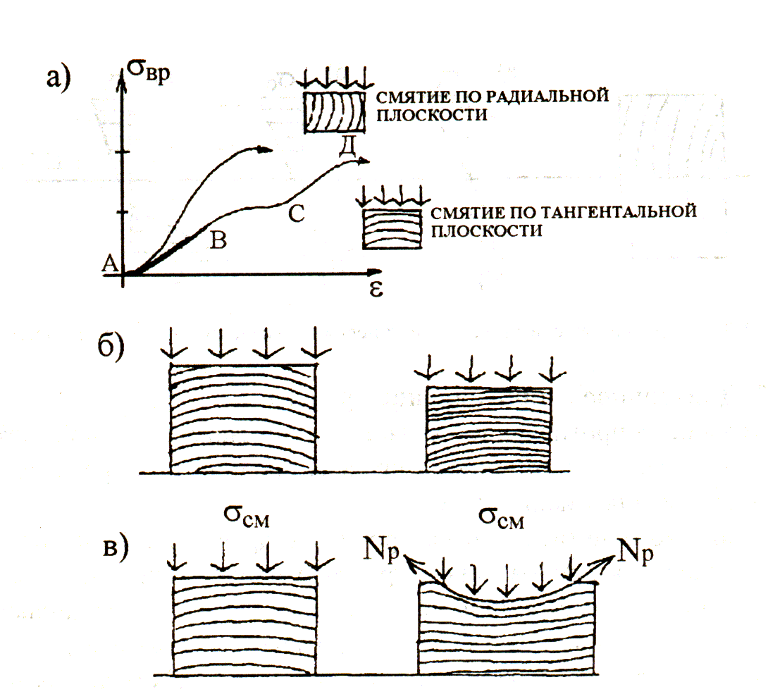 Сжатие древесины. Смятие древесины поперек волокон. График растяжения вдоль волокон. Что такое смятие вдоль волокон. Сжатия в радиальном направлении.