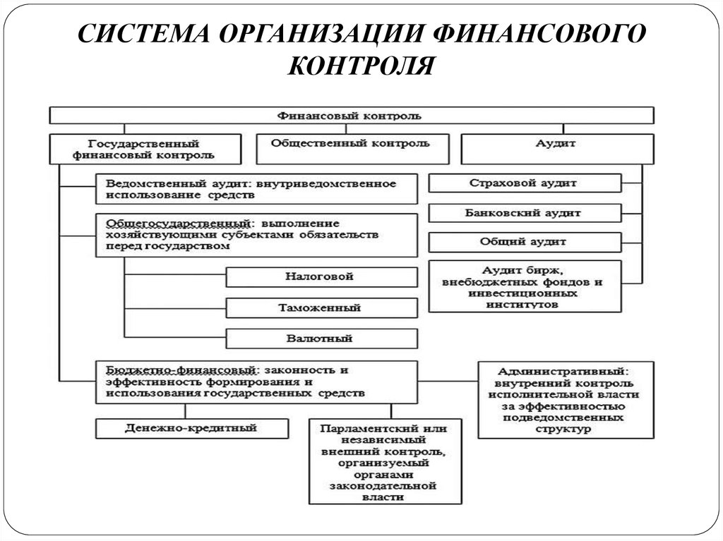 Финансовый контроль и мониторинг инновационного проекта курсовая