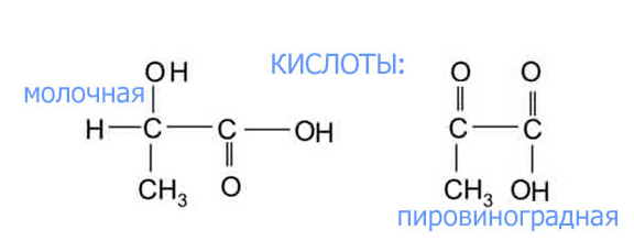 Пировиноградная кислота формула. Формула пировиноградной кислоты ПВК. Пировиноградная кислота структурная формула. Пировиноградная и молочная кислота формулы.