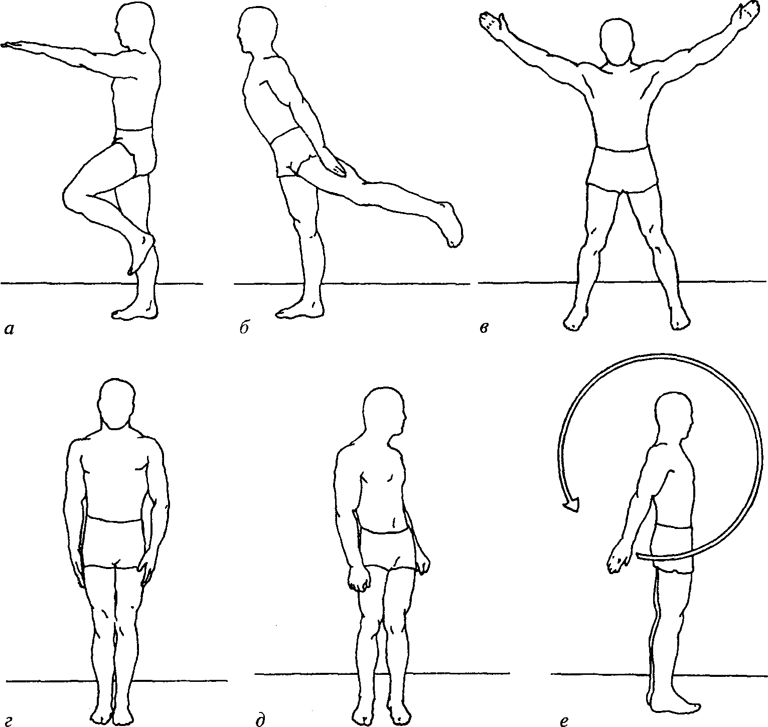 Направление движения по оси. Схема движения суставов. Движения туловища. Типы движения. Виды движений человека.