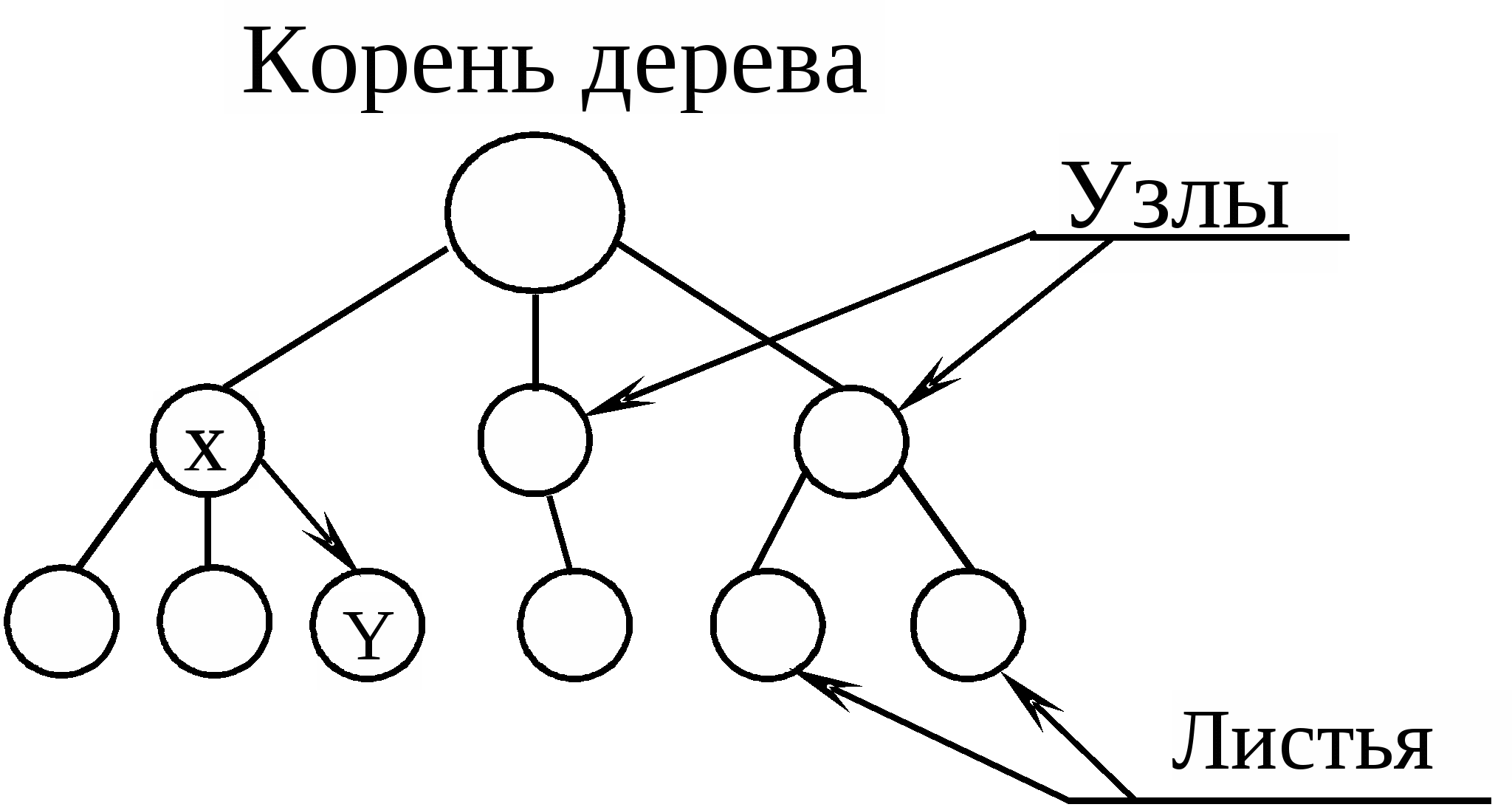 Дерево (структура данных). Иерархия бинарного дерева. Бинарное дерево в программировании. Структуризация информации деревья.