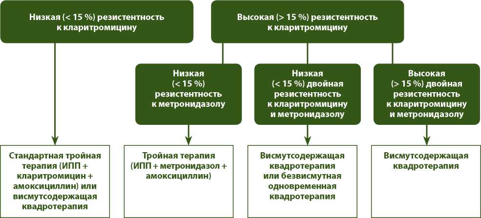 Схема эрадикации маастрихт 4