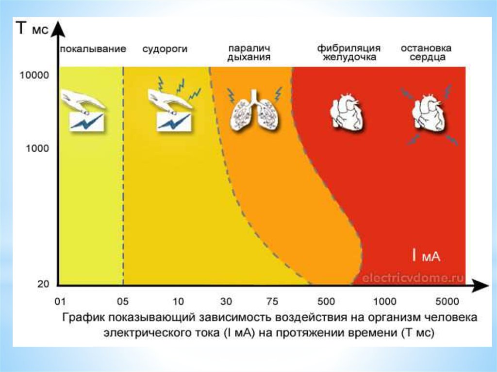 Действие электрического тока на организм человека проект