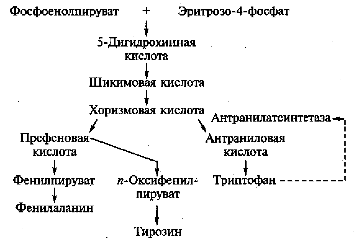 Технологическая схема лизина