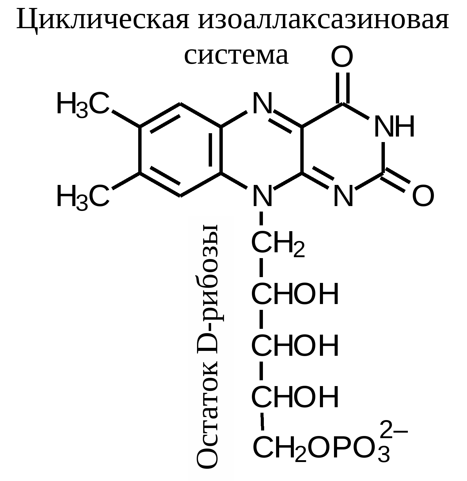 Коферментом витамина в2 является. ФАД кофермент витамина. Витамин б3 формула кофермента. Витамин b2 коферментная форма. Витамир б3 коферменты формула.