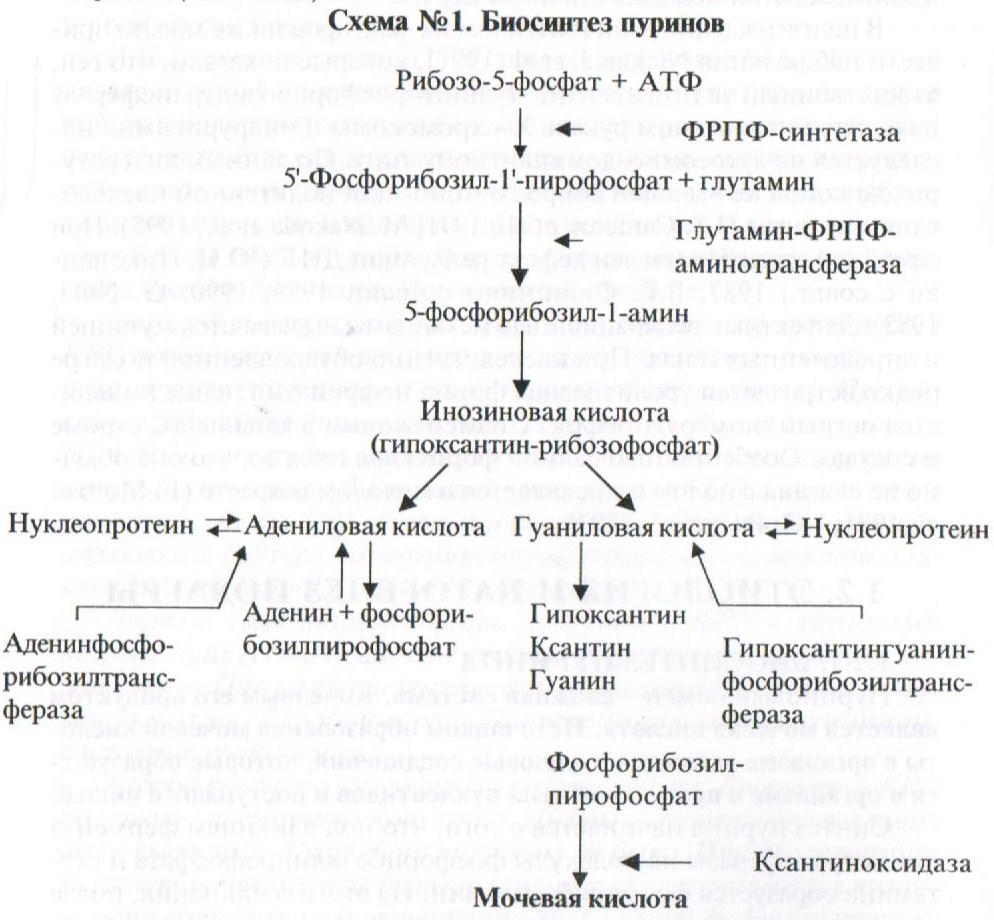 Подагра патогенез. Подагра биохимия схема. Патогенез подагры схема. Механизм развития подагры схема. Причины развития подагры биохимия.