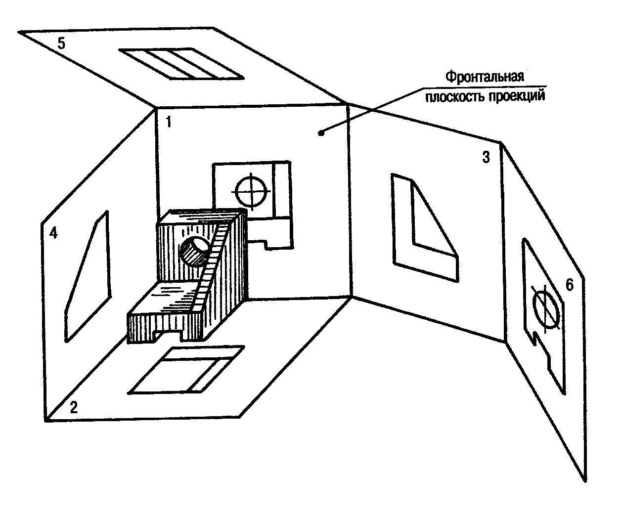 Обратная проекция. Фронтальная проекция. Фронтальный вид. Фронтальная и горизонтальная проекция. Фронтальный вид проекции.