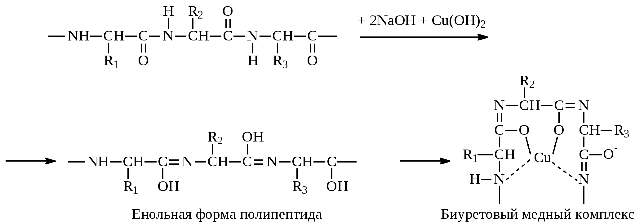Полипептиды с азотной кислотой дают фиолетовое окрашивание. Формы полипептидов. Енольная форма. Реакция глицина с формальдегидом. Глицин и формальдегид.