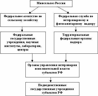 Схема структура организации государственного надзора в животноводстве