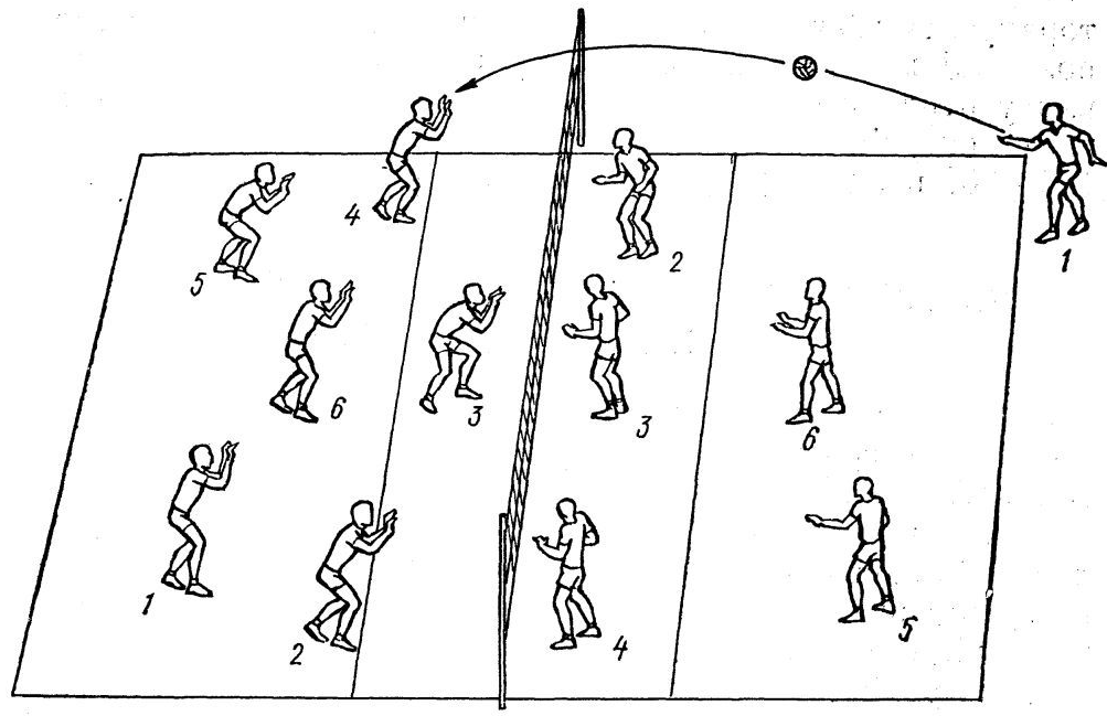 Схема игры в волейбол
