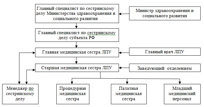 Структура лпу схема