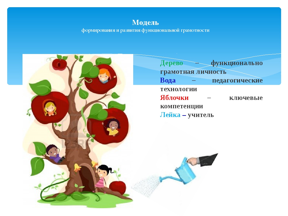 Картинка функциональная грамотность учимся для жизни