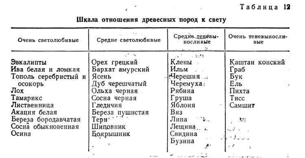 Таблица группы растений по отношению к теплу