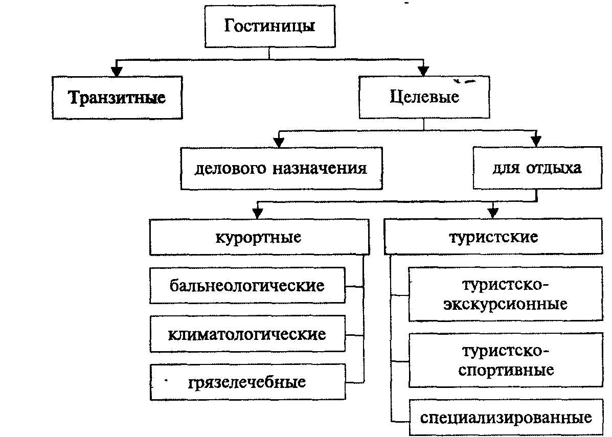 Функциональное назначение виды. Деление гостиничных предприятий по функциональному назначению. Схема деления гостиничных предприятий по функциональному назначению. Классификация гостиниц по функциональному назначению. По какому критерию выделяют транзитные и целевые гостиницы.