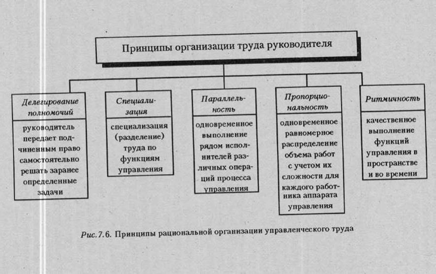 Организация труда работников зала