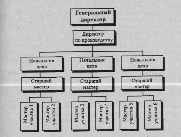 Линейная структура организации схема