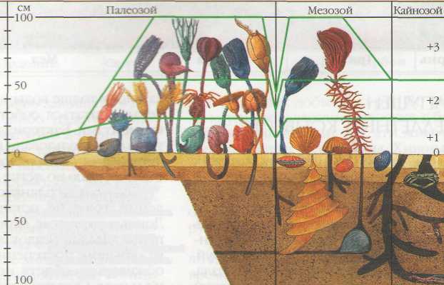 Проект мой край в координатах