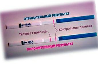 http://www.pregnancy-info.ru/wp-content/uploads/2014/02/kak-polzovatsya-testom-beremennost.jpg