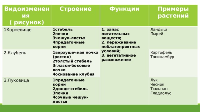 Особенности строения примеры