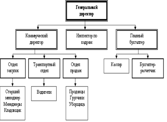 Организационная структура магазина магнит схема