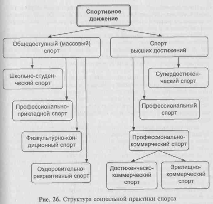 Спорт схема. Основные направления спортивного движения. Основные направления в развитии спортивного движения. Основные направления общедоступного (массового) спорта. Классификация спортивных достижений.