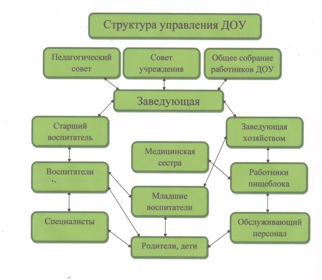 Схема организации образовательной организации