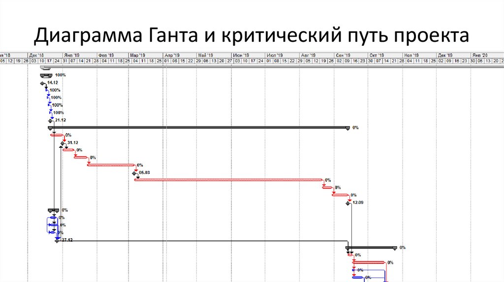 Критическая работа проекта