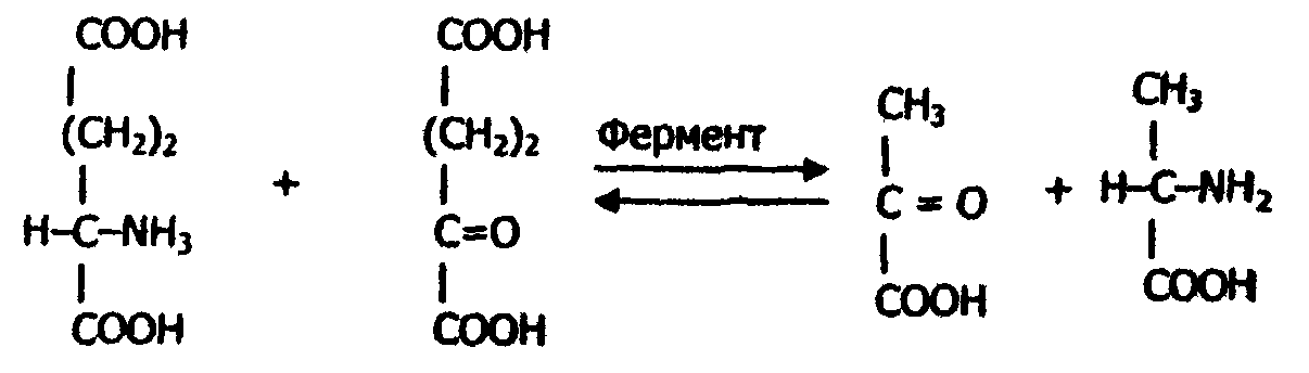 Рациональная номенклатура ферментов. 2 Оксоглутаровая кислота. Рациональная номенклатура аланина. Аланин глутаминовая кислота.