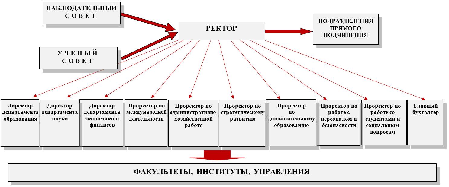 Организационная структура университета синергия схема