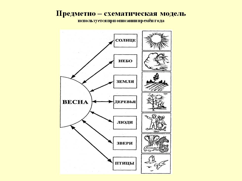 Образец предметной экологической модели