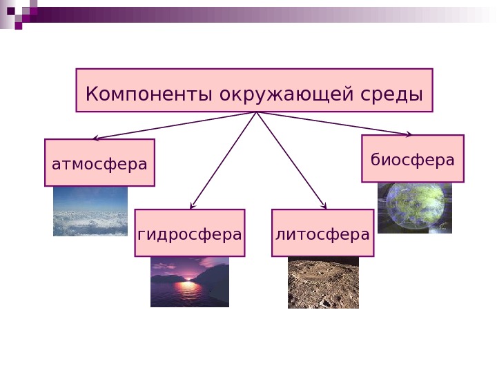 Производство и окружающая среда презентация к уроку