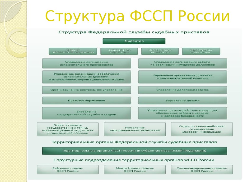 Схема структуры судебных приставов