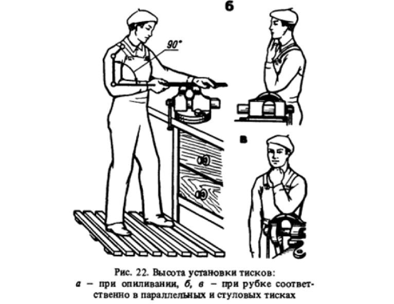 Рис высота. Высота установки тисков. Правила безопасной работы на слесарном верстаке. Высота установки тисков при опиливании. Требования к организации рабочего места при рубке металла..