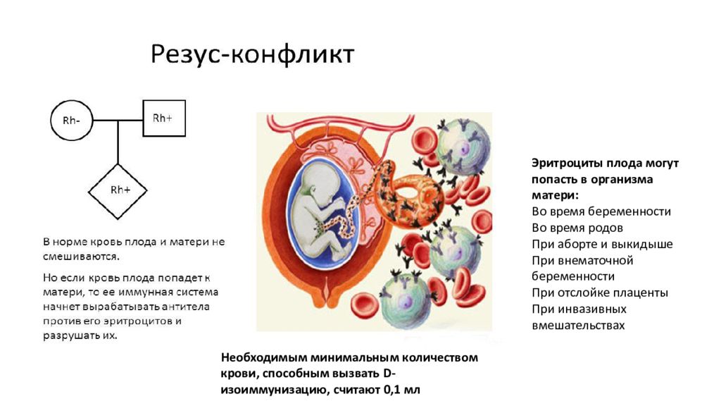 Резус профилактика. Резус-конфликт при беременности патогенез. Механизм развития резус конфликта. Схема патогенеза гемолитической болезни новорожденных.