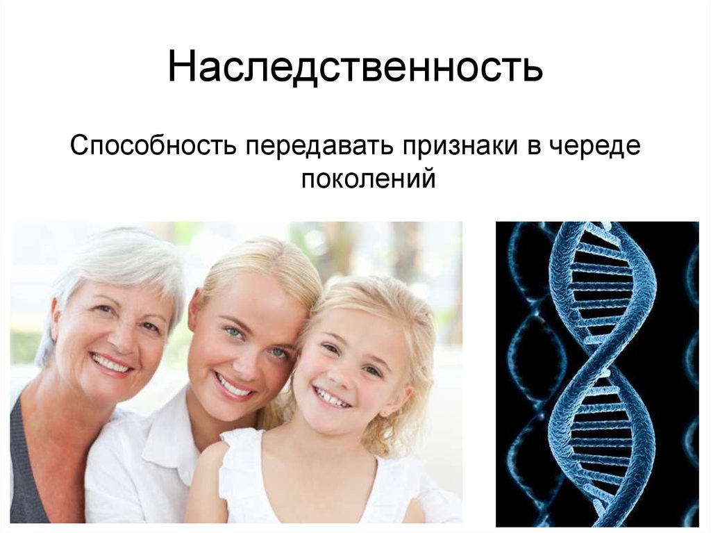 Передача наследственных. Наследственность. Генетика наследственность. Наследственность презентация. Семейная наследственность.