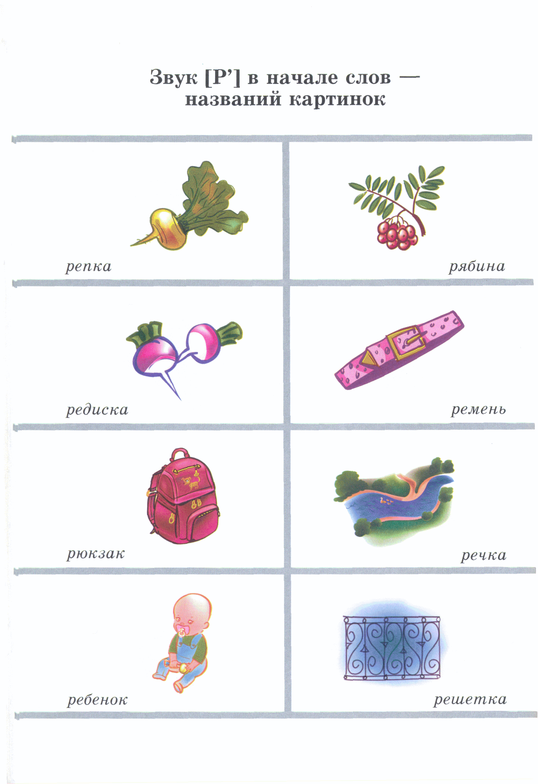 Картинки со звуком р в начале слова для детей