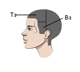 Расстояние от уха до подбородка стрижки