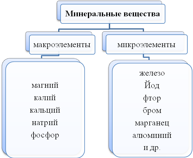 Натрий кальций фосфор. Группы Минеральных веществ технология 6. Классификация Минеральных веществ. Минеральные вещества 5 класс. Минеральные вещества схема.